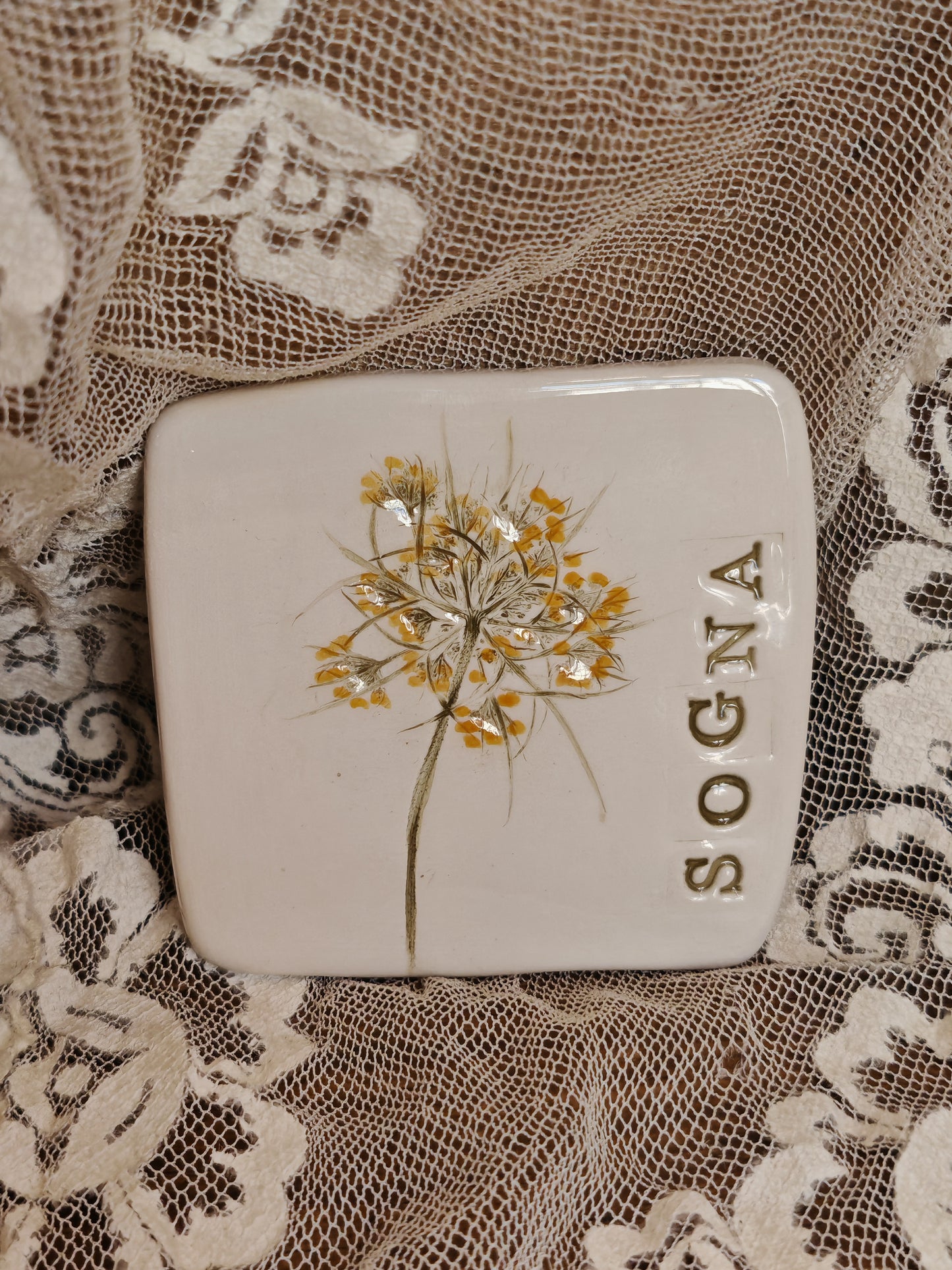 Calamita linea Botanica