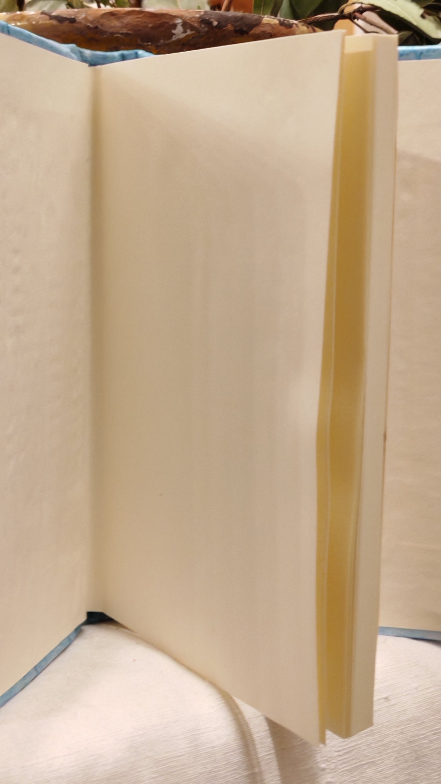 Quaderno per appunti